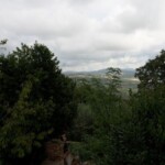 Blick aus dem Fenster