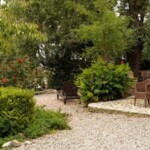 Garten vor dem Haupthaus - Toscana